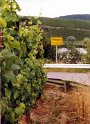 Mosel_51