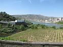 P253_Douro_2793