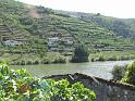 P275_Douro_2811