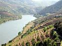 P303_Douro_2832