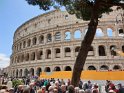 R110_Colosseum