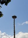 FTT_30_Eggebek