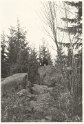 Sve_35