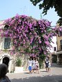 V290_Sirmione